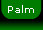   Palm